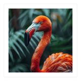Close Up Of A Vibrant Orange Flamingo Bird (Print Only) thumbnail