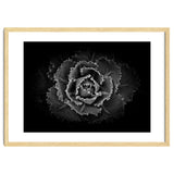 Backyard Flowers In Black And White No 101 thumbnail