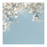 Symphony Blues (Print Only)