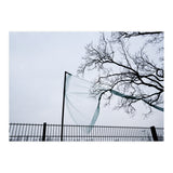 Net caught in a tree (Print Only) thumbnail