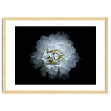 Backyard Flowers No 90 Color Version thumbnail