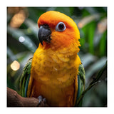 Sun Conure Parrot Colorful Bird Perched On Branch (Print Only) thumbnail
