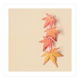 Maple In Pastel (Print Only) thumbnail
