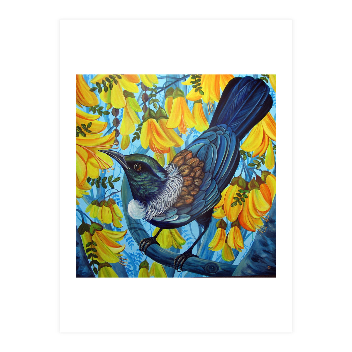 Kowhai (Print Only)