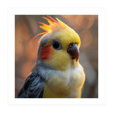 Cockatiel Parrot Portrait With Orange Cheeks (Print Only) thumbnail