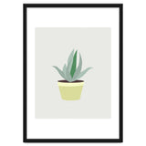 Succulent V1 thumbnail