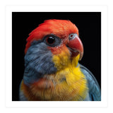 Close Up Colorful Parrot Portrait Vivid Plumage (Print Only) thumbnail