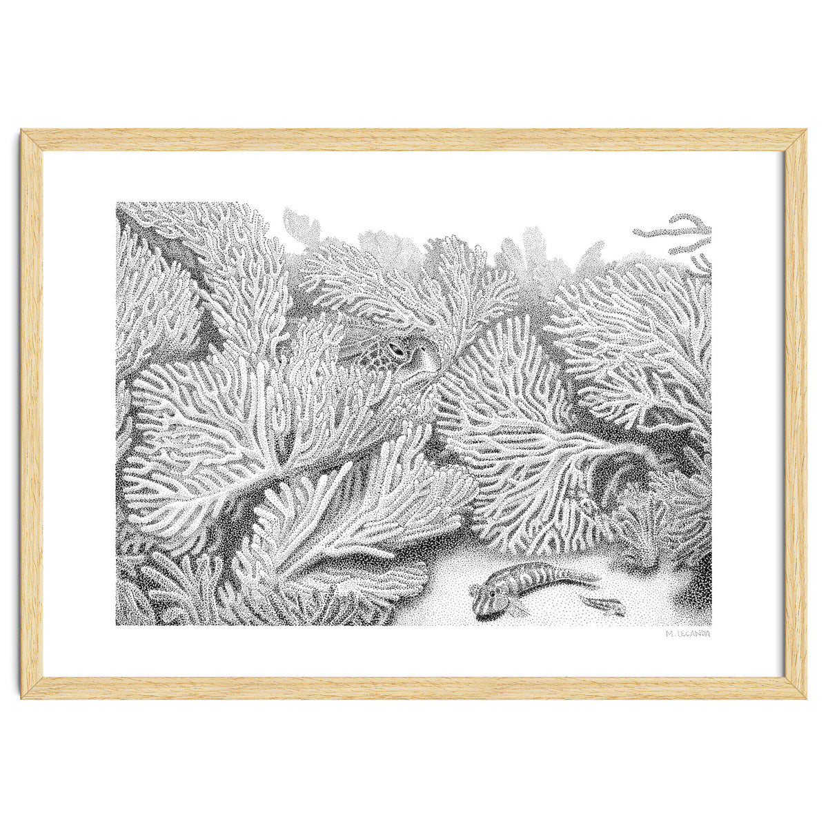 Hidden in plain sight