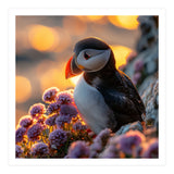 Puffin Bird Amidst Purple Flowers Golden Hour (Print Only) thumbnail