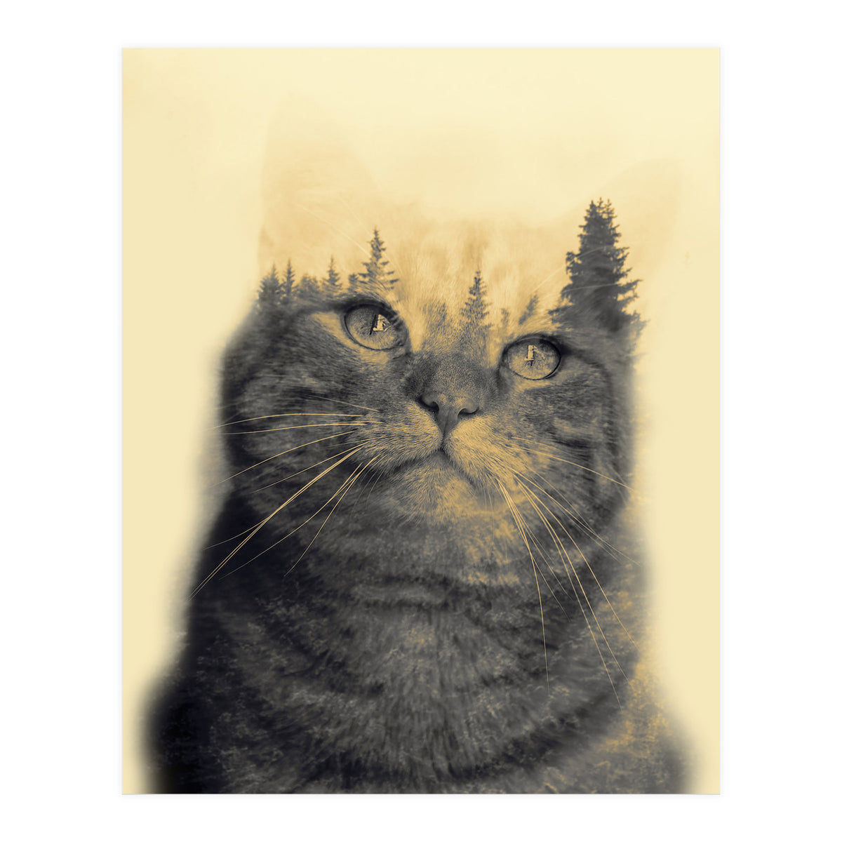Cat double exposure (Print Only)