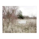 Abandoned Sofa in the middle of nowhere (Print Only) thumbnail