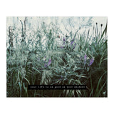 Photography - Summer Garden (Print Only) thumbnail