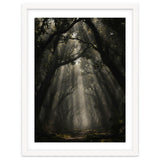 Enchanted Canopy: Mystical Forest Path thumbnail