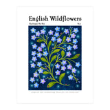English Wildflowers | Forget-Me-Not (Print Only) thumbnail