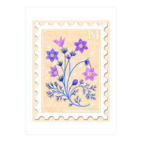 The Cambridgeshire Pasqueflower Postage Stamp (Print Only)