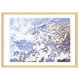 Coral Blooming thumbnail