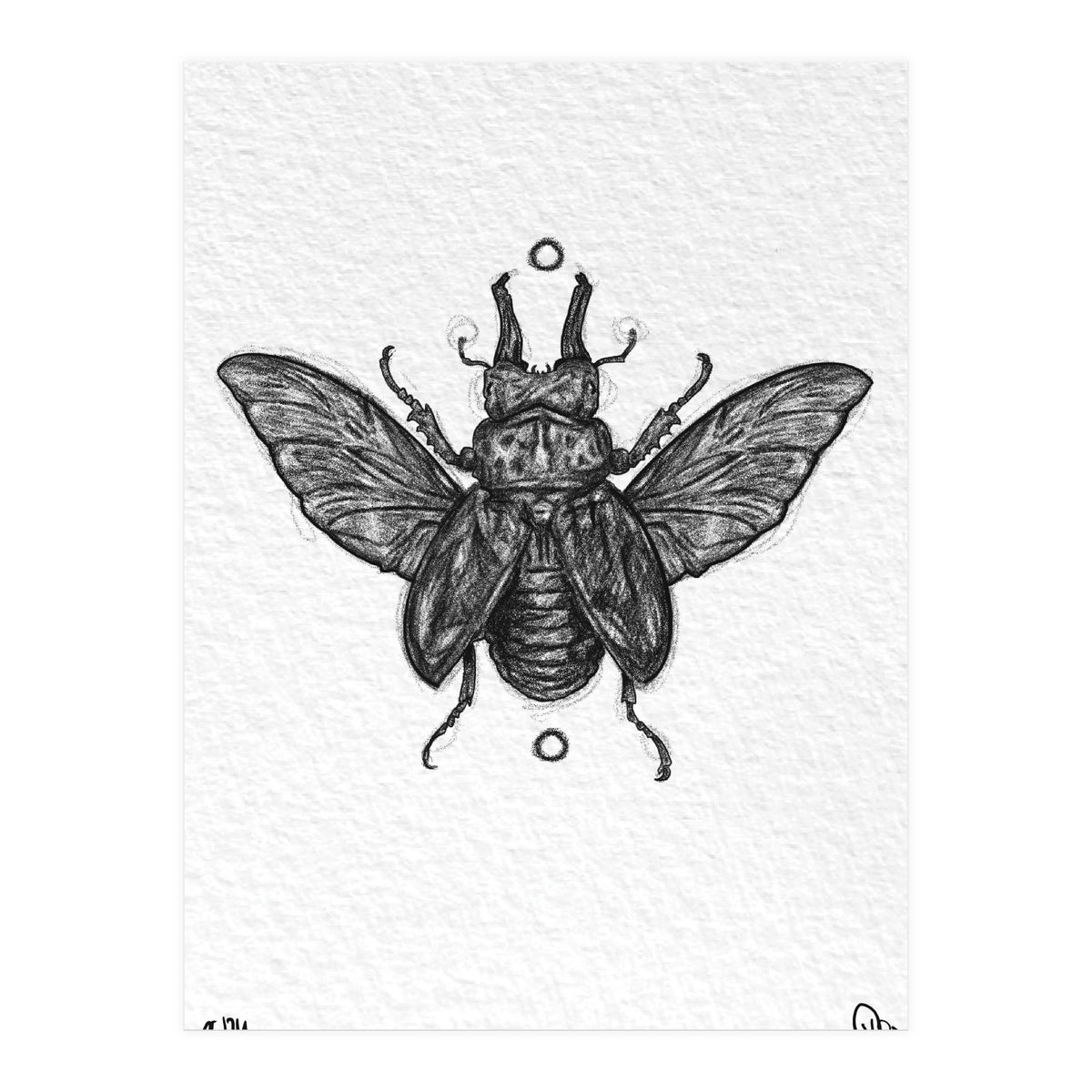 Hirschkäfer  (Print Only)