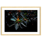 Orange, Green and Dark thumbnail
