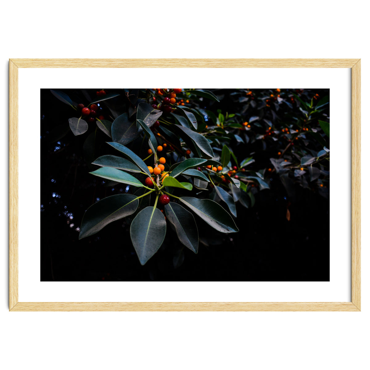 Orange, Green and Dark