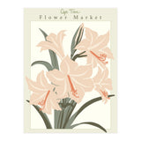 Flower Market Cap Town Amaryllis (Print Only) thumbnail