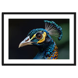 Close-up of a Peacock’s Head thumbnail