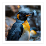 King Penguin Close Up Portrait Nature (Print Only) thumbnail