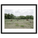 Cows in the farm thumbnail