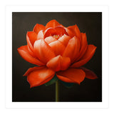 Double Lotus | Scarlet Solace (Print Only) thumbnail