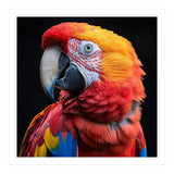 Scarlet Macaw Parrot Close Up Portrait Vivid Colors (Print Only) thumbnail
