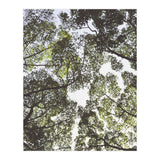 Mother Nature (Print Only) thumbnail