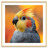Cockatiel Parrot Close Up thumbnail