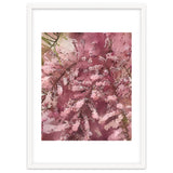Pink Blossom thumbnail