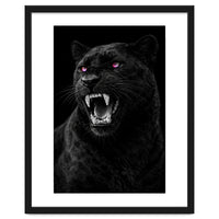 Black leopard with colorful eyes portrait