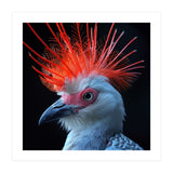 Secretary Bird (Print Only) thumbnail