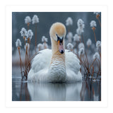 Swan Floating Serene On Calm Water (Print Only) thumbnail