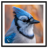 Blue Jay Bird Close Up Detailed Portrait