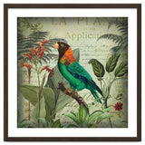Tropical Bird Nostalgia thumbnail