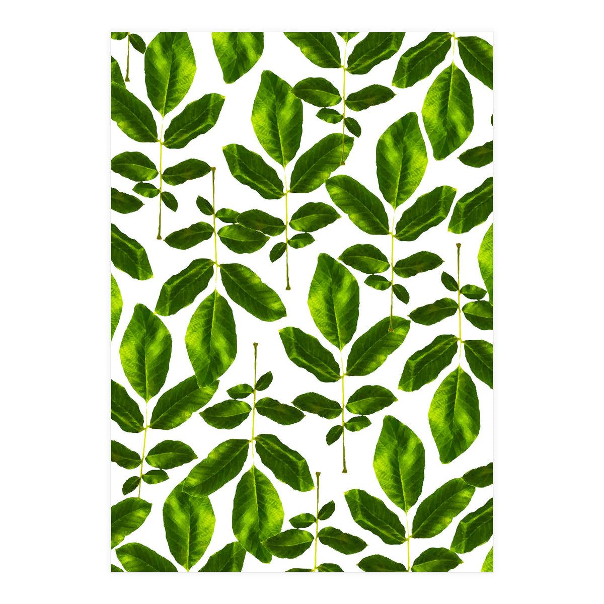 Natural Cure #society6 #decor #buyart (Print Only)