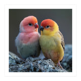 Pair Of Lovebirds Sitting On Rocks (Print Only) thumbnail