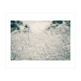 Walking Through Long Grass (Print Only) thumbnail