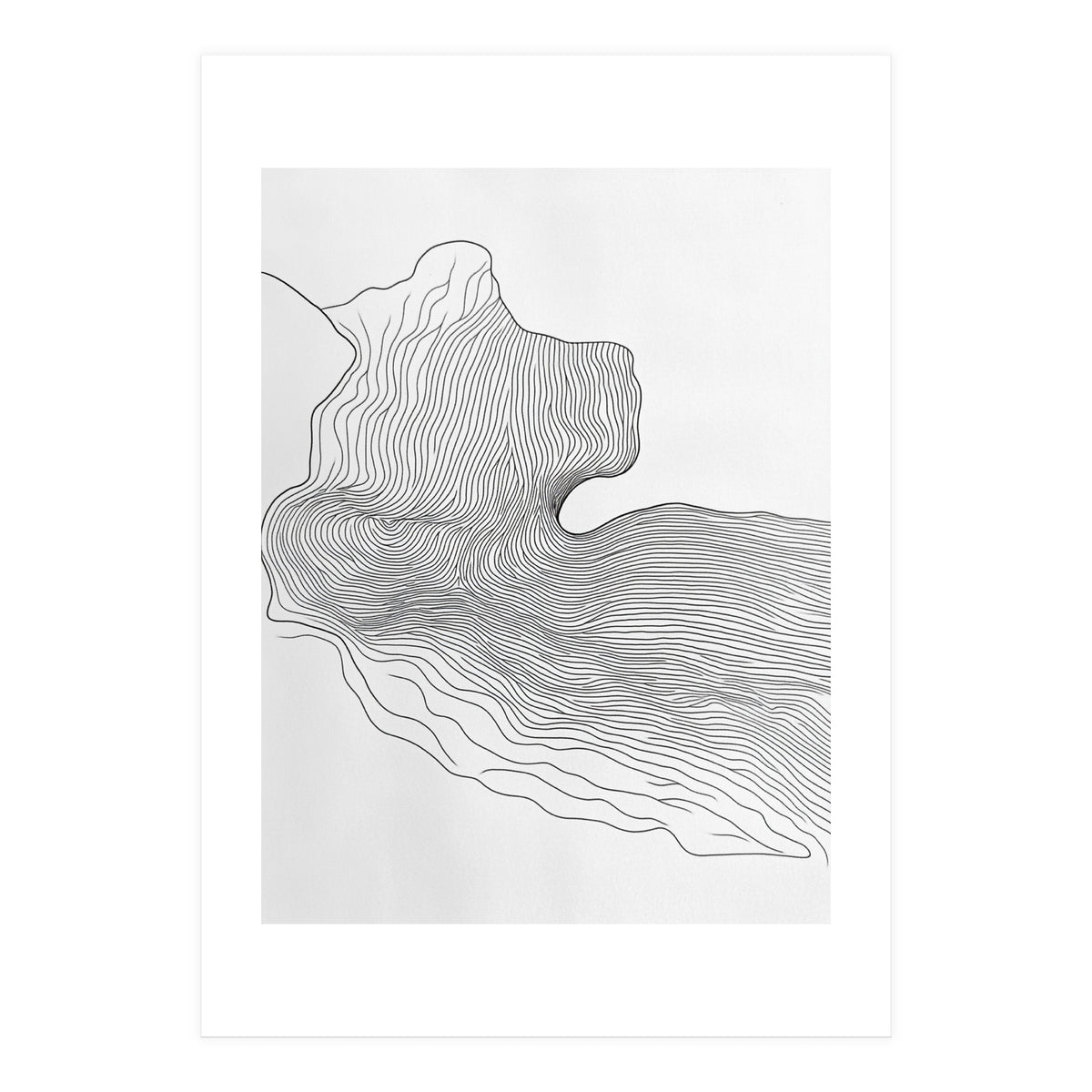 Abstract Black And White Organic Flowing Lines Pattern (Print Only)