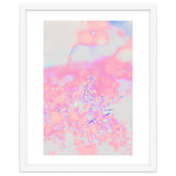 Chamomile thumbnail