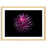 Backyard Flowers No 57 Color Version thumbnail