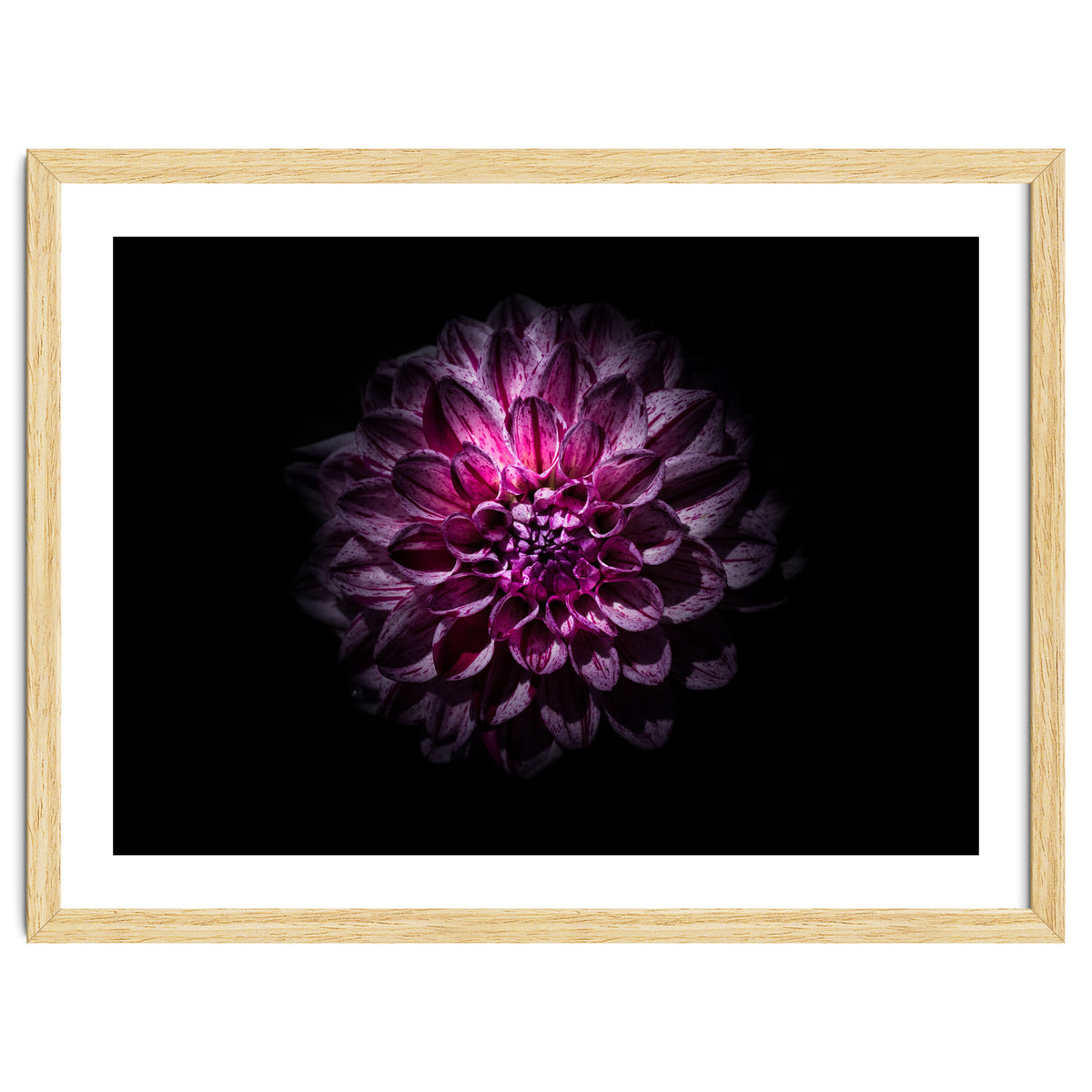 Backyard Flowers No 57 Color Version