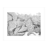 Hidden in plain sight (Print Only) thumbnail