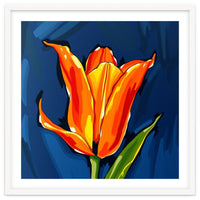 Lily Fresh