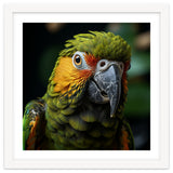 Close Up Of A Colorful Macaw Parrot Face thumbnail