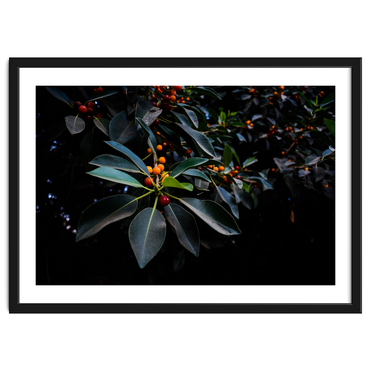 Orange, Green and Dark