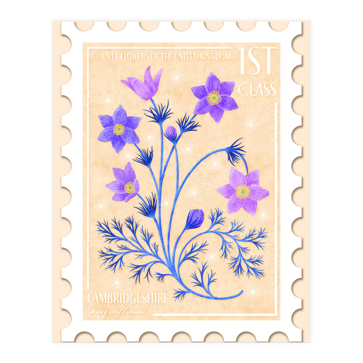 The Cambridgeshire Pasqueflower Postage Stamp (Print Only)