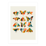 Colorful Butterflies (Print Only) thumbnail